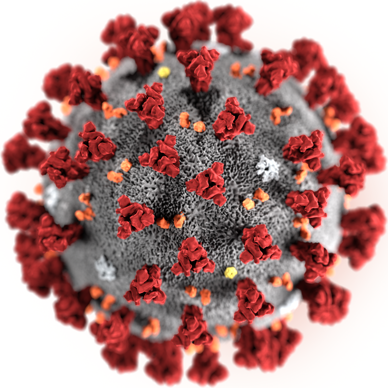 Coronavirus 